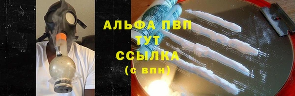 индика Тихвин