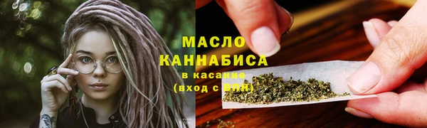 прущие грибы Тобольск