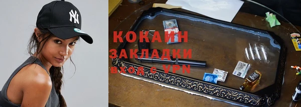 прущие грибы Тобольск
