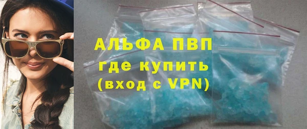 прущие грибы Тобольск