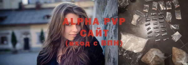 индика Тихвин