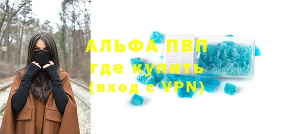 прущие грибы Тобольск