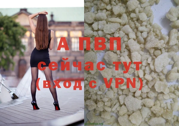 прущие грибы Тобольск