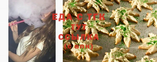 индика Тихвин