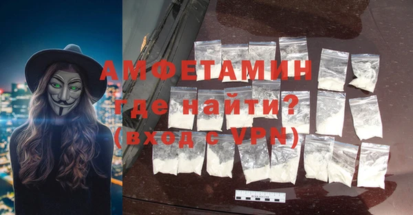 индика Тихвин