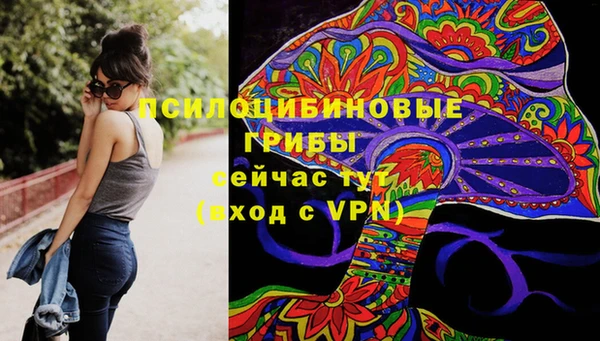 индика Тихвин
