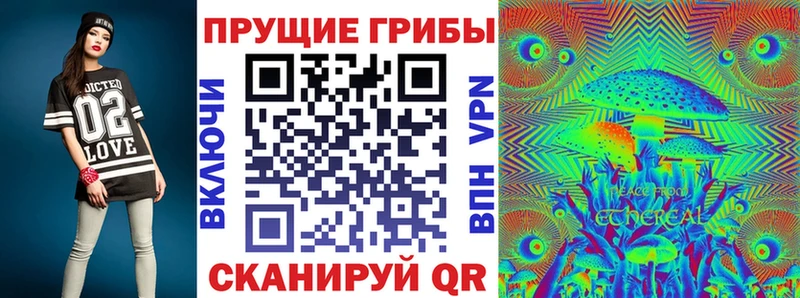 Купить где Петровск Псилоцибиновые грибы Cubensis